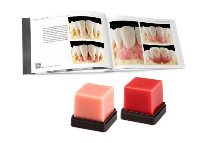 GEO EXPERT GINGIVA SET A. BRUGUERA - RENFERT